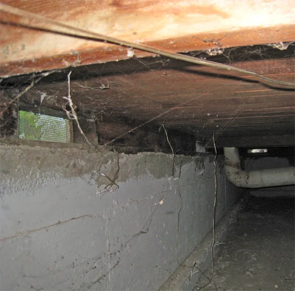 Crawlspace Water Removal in Pinecrest, Florida