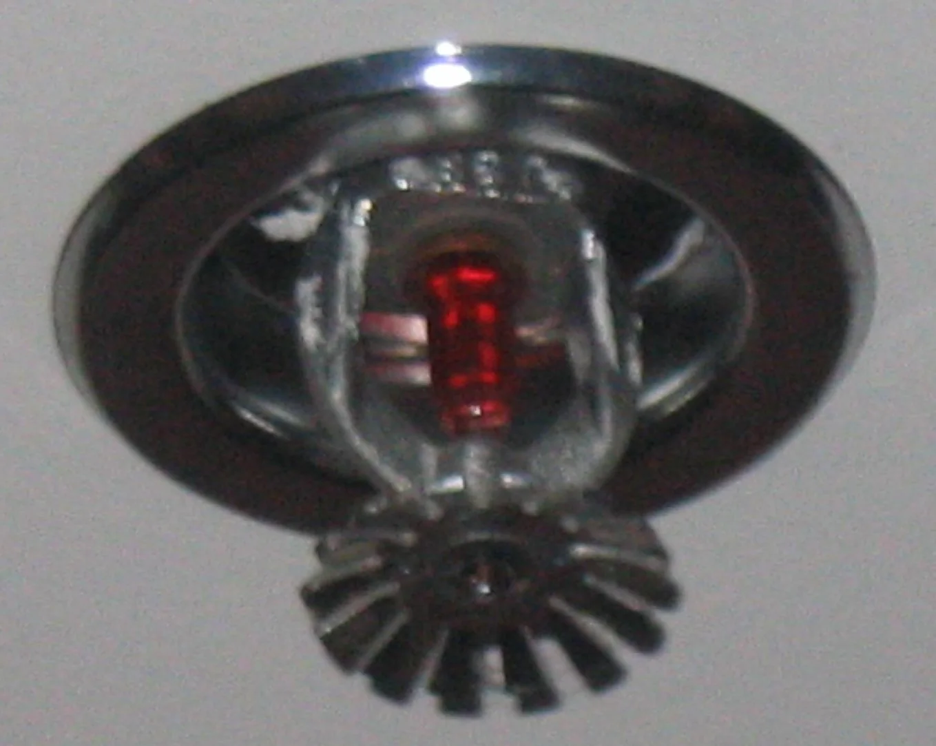 Fire Sprinkler Discharge in Pinecrest, Florida