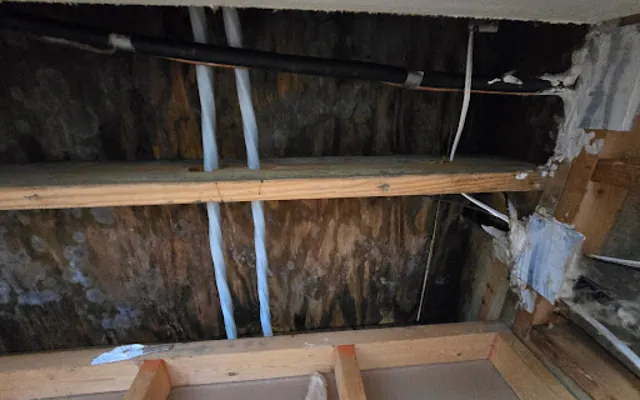 Attic Water Damage in Brickell, Florida