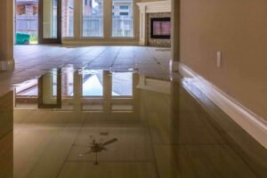 What to Do Right After Water Damage